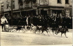Sled Dogs Running in a Race through Town Postcard
