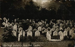 The Dog's Cemetery, Hyde Park London, United Kingdom Postcard Postcard Postcard