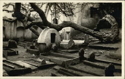 Cemetery with Spiraling Tree Postcard