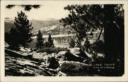 View of Lake Tahoe Postcard