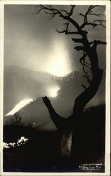 Stock #452462 Thumbnail