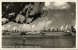 Furness Bermuda Line Ships Postcard