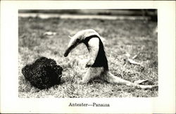 Stock #452511 Thumbnail