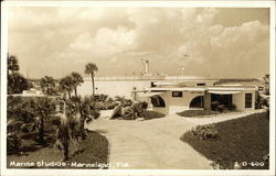 Marine Studios Postcard