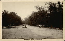 Bushwood Avenue Postcard