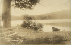 Airdwood Lake Lake Pleasant, NY Postcard Postcard Postcard