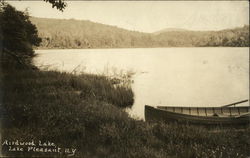 Airdwood Lake Lake Pleasant, NY Postcard Postcard Postcard