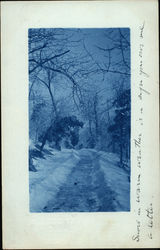 Snow Shoveled Pathway Lined with Trees Dobbs Ferry, NY Postcard Postcard Postcard