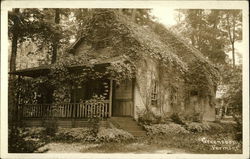 Home Covered in Ivy Greensboro, VT Postcard Postcard Postcard