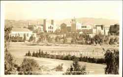 University of California, Westwood Postcard