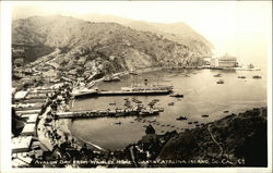 Avalon Bay from Wrigley Home Postcard
