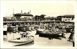 Stock #453077 Thumbnail