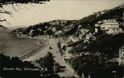 Oriental Bay Wellington, New Zealand Postcard Postcard Postcard
