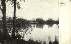 Pond of Safety Postcard