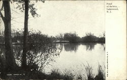 Pond of Safety Lakewood, NJ Postcard Postcard Postcard