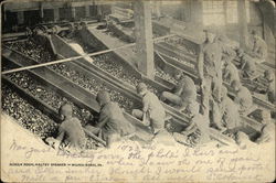 Screen Room, Maltby Breaker Postcard