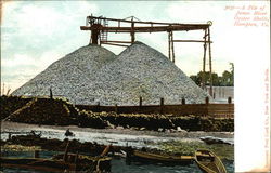 James River Oyster Shells Postcard