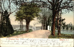 In Effingham Park Postcard
