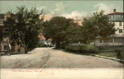 York Harbor Street Postcard