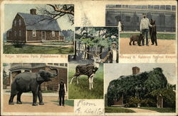 Roger Williams Park Postcard