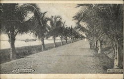 Malecon Drive Postcard