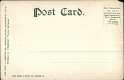 back