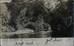 View of Bank on River Postcard