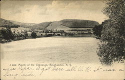 Mouth of the Chenango Binghamton, NY Postcard Postcard Postcard