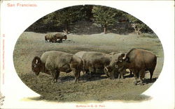 Stock #453992 Thumbnail