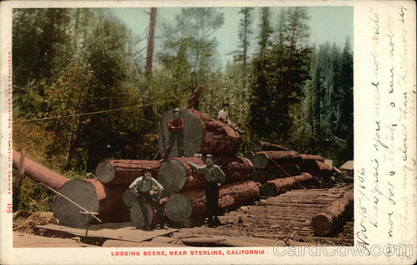 Logging Scene, Sterling, CA California