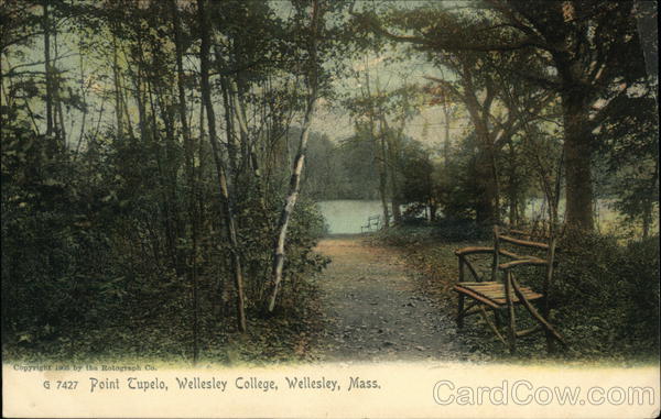 Point Tupelo, Wellesley College Massachusetts