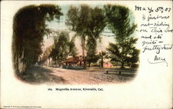 Magnolia Avenue Postcard
