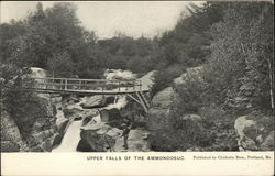 Upper Falls of the Ammonoosuc New Hampshire Postcard Postcard Postcard