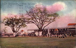 Fair Grounds Postcard