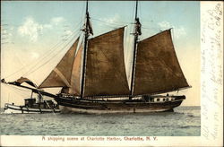 A Shipping Scene at Charlotte Harbor New York Postcard Postcard Postcard