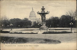 Fountain in Public Garden Postcard