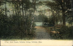 Point Tupelo, Wellesley College Postcard