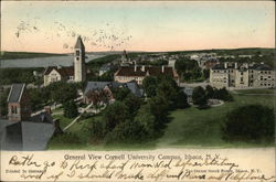 Cornell University Campus Ithaca, NY Postcard Postcard Postcard