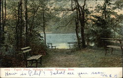 Wellesley College - Tupelo Point Postcard