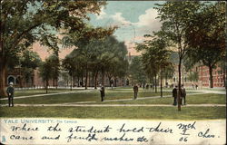 Yale University, The Campus New Haven, CT Postcard Postcard Postcard