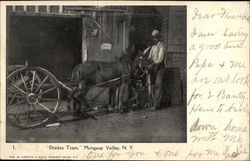 "Donkey Team" Mongaup Valley, NY Postcard Postcard Postcard