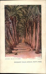 Cocoanut Palm Avenue Postcard
