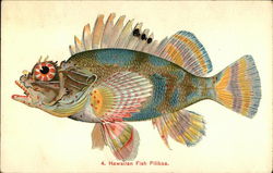 Hawaiian Fish, Pilikoa Postcard Postcard Postcard