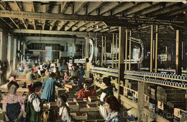 Flickenger's Orchard Cannery - Interior San Jose California