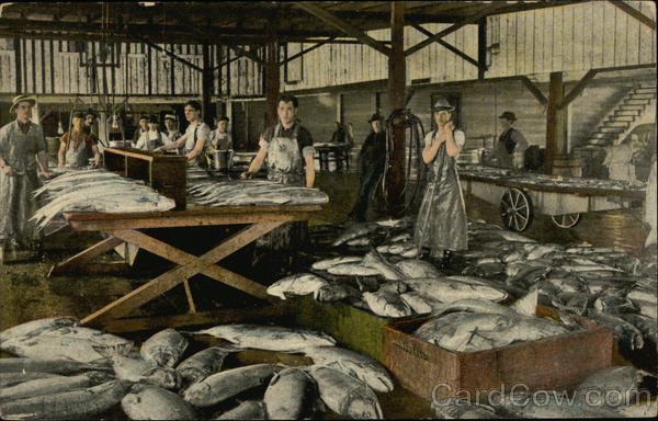 Group of Men Working at a Fish Processing Facility