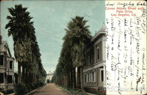 Corner Adams Street and Palm Drive Los Angeles California