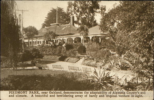 Piedmont Park Oakland California