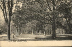 Campus View Oberlin, OH Postcard Postcard Postcard