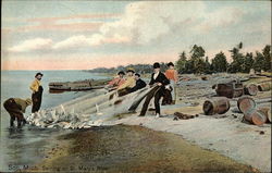 Seining on St. Mary's River Postcard