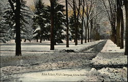 Campus Snow Scene Ann Arbor, MI Postcard Postcard Postcard